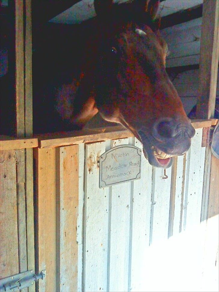 Traver Nikotin - 8) Foto:mig billede 8