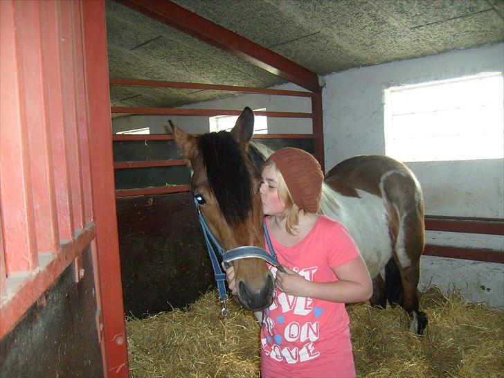 Pinto Herkules  - Jeg elsker dig... billede 4