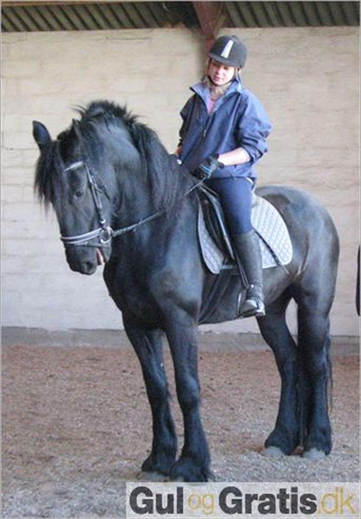 Frieser Mara (Tilred) billede 15