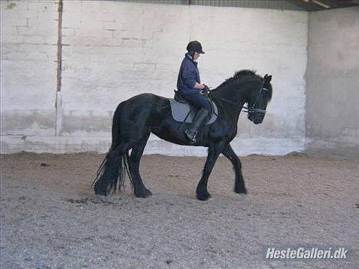 Frieser Mara (Tilred) billede 16