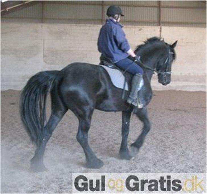 Frieser Mara (Tilred) billede 17