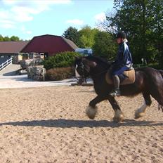 Tinker Akillieus/Jarjar