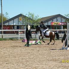 Anden særlig race Sabi 