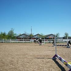 Anden særlig race Sabi 