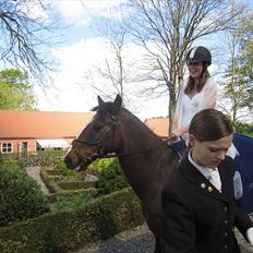 Anden særlig race Marco Polo - Den ubeskrivelige<3