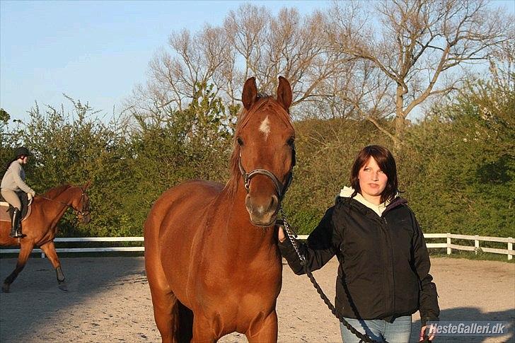Arabisk fuldblod (OX) BS Tornado - Channie og den dejlige Tornado tak for lån søde billede 5