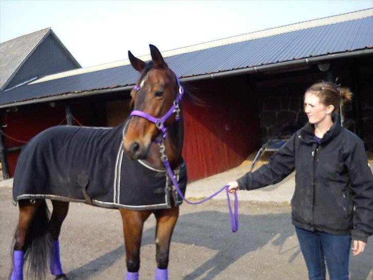 Traver Kiss mac laid billede 13