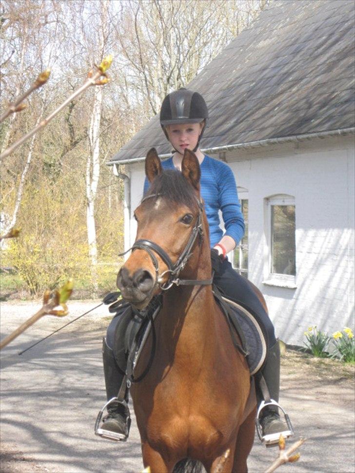 Anden særlig race Christiansejes Peanut - Billede 7. På vej over til banen:) Fotograf: Anne-Louise billede 4