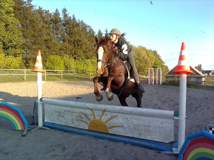 Anden særlig race Lamona <3 billede 9