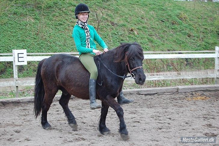 Anden særlig race Hugo *part* - mig og hugo i trav uden sadel ;D  billede 12