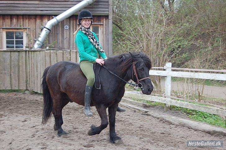 Anden særlig race Hugo *part* - mig og hugo på banen <3 billede 14