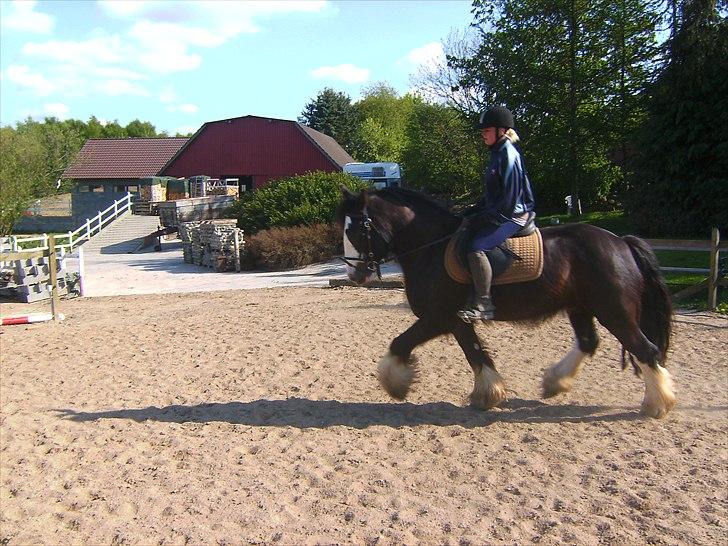 Tinker Akillieus/Jarjar billede 2