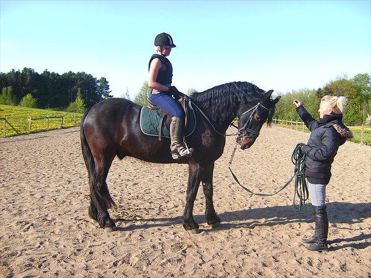 Anden særlig race Zafir( SOLGT) - mig og Zafir 05-maj. billede 1