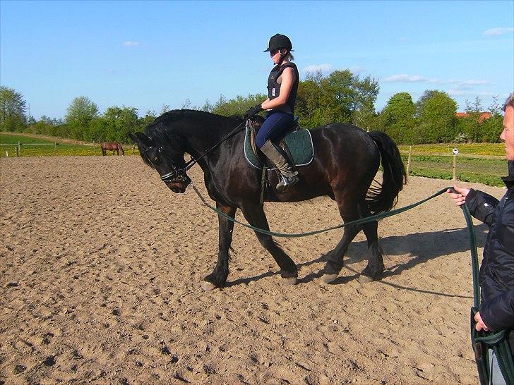 Anden særlig race Zafir( SOLGT) billede 4