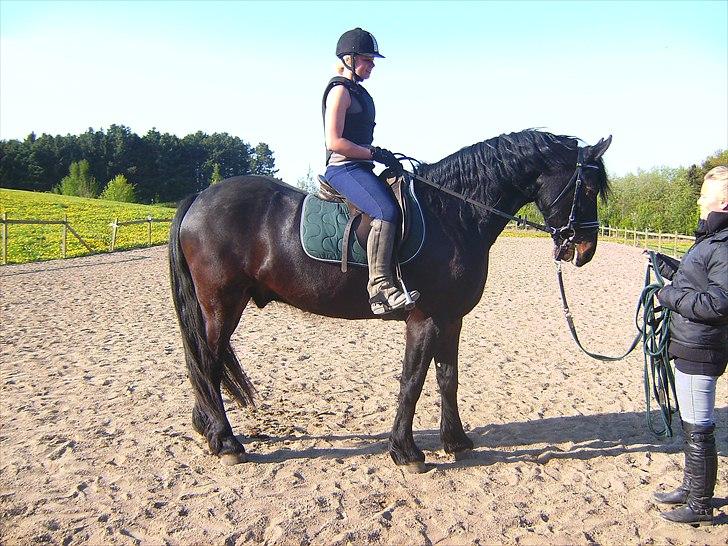 Anden særlig race Zafir( SOLGT) billede 13