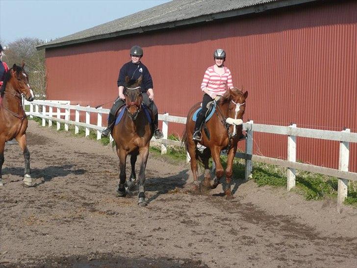 Dansk Varmblod Fuglesangsgårds domain - Mig og Tine snakker inden undervisning hos Peter Enemark ! billede 11