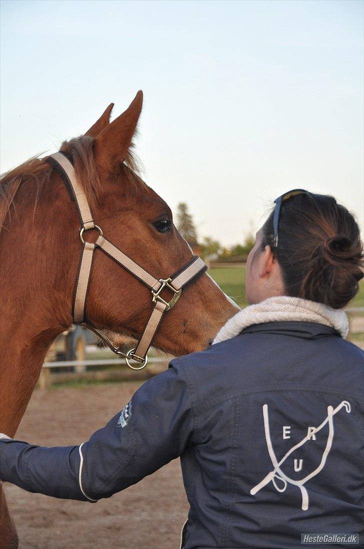 Anden særlig race Frigga billede 13
