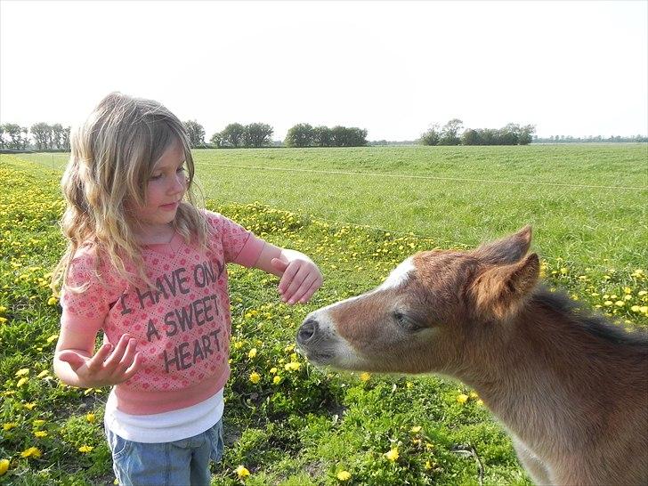 Anden særlig race Stabygårds Tarzan Mama Mia billede 7