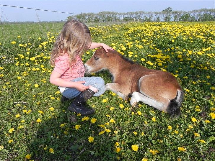Anden særlig race Stabygårds Tarzan Mama Mia billede 13