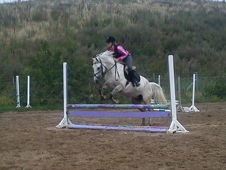 DSP Snekkerups Maja billede 17