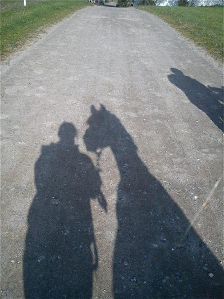 DSP Snekkerups Maja billede 18