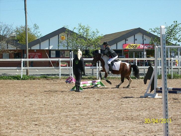 Anden særlig race Sabi  - Velkommen til Sabi´s profil<3 Flere billeder kommer:D billede 1