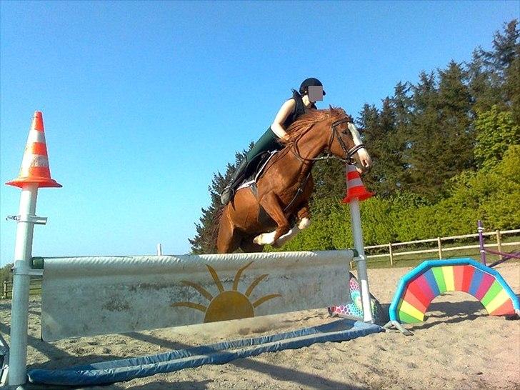 Svensk Sportspony  | Isabell.<3 *solgt* - En ven spurgte mig engang.. Hvad er rigtig venskab for dig? Uden at tøve med et smil på læben svarede 'Isabell' <3 billede 3