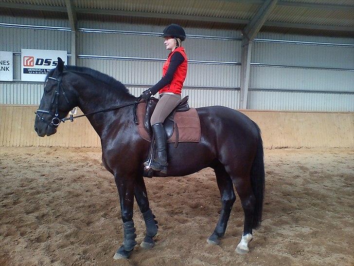 Oldenborg Max  billede 12