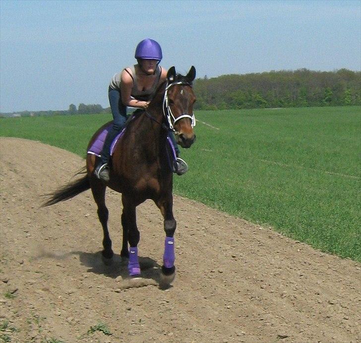 Traver Kiss mac laid billede 16