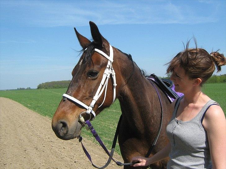 Traver Kiss mac laid billede 17