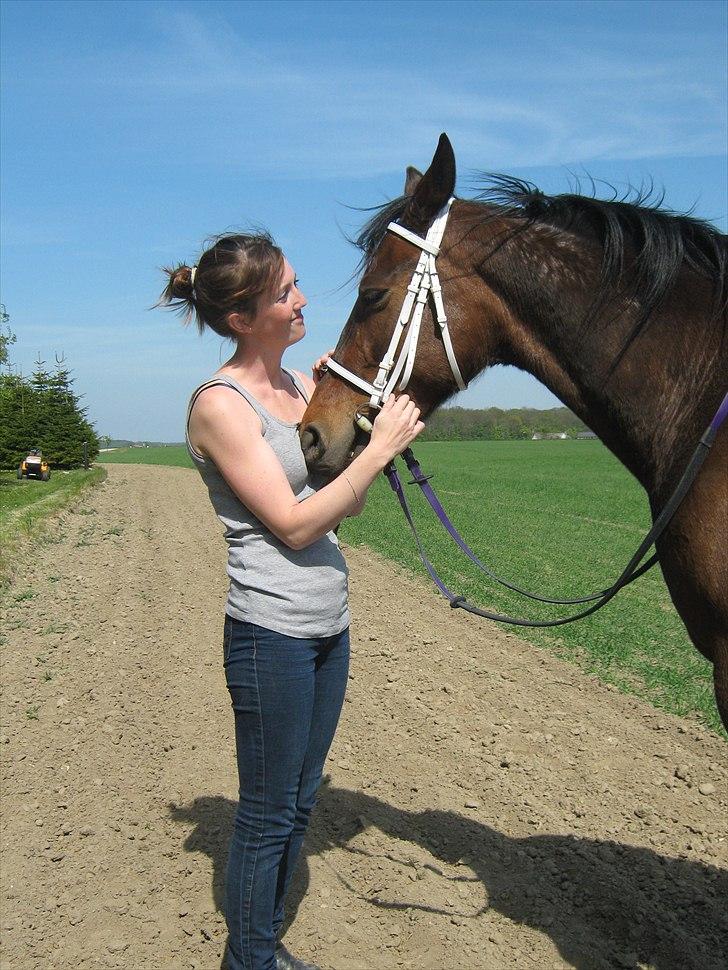 Traver Kiss mac laid billede 18