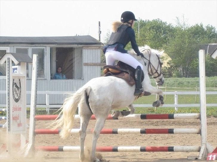 Connemara Sdr. Vestermark Carreen  - mig og carreen stævne på BOR LB billede 7