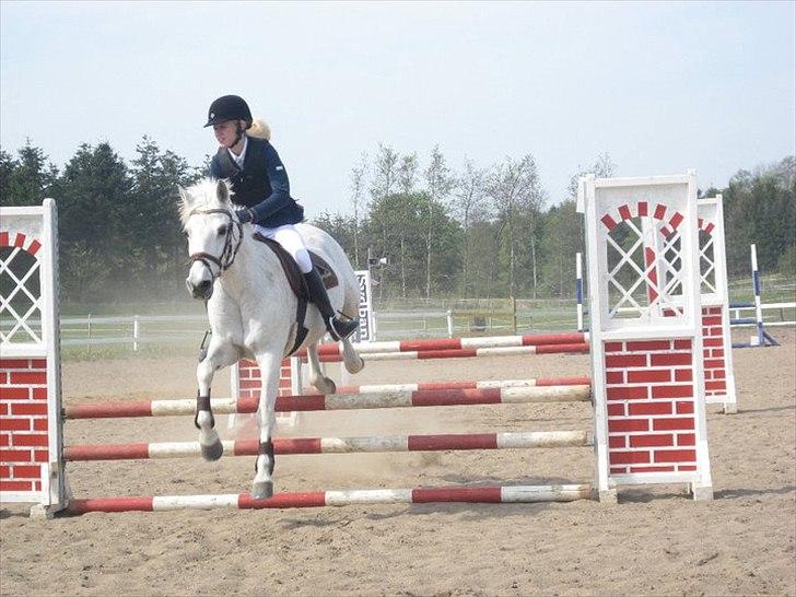 Connemara Sdr. Vestermark Carreen  - mig og smukke carreen i LB på BOR billede 8