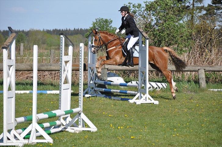 DSP Fie Engholm. billede 6