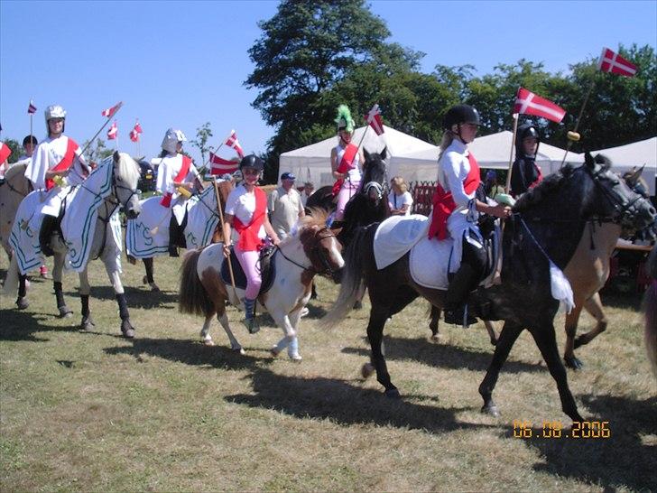 Shetlænder Anton - Min kusine og ham til ring ridning billede 4