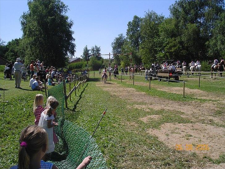 Shetlænder Anton - Der kommer ham og min kusine i fuld fart. billede 5