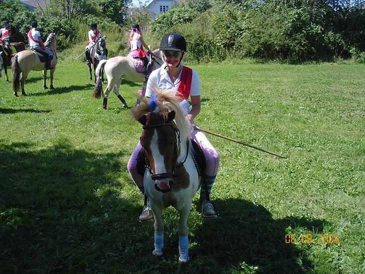 Shetlænder Anton - Min kusine om om klært ud som klovne. billede 1