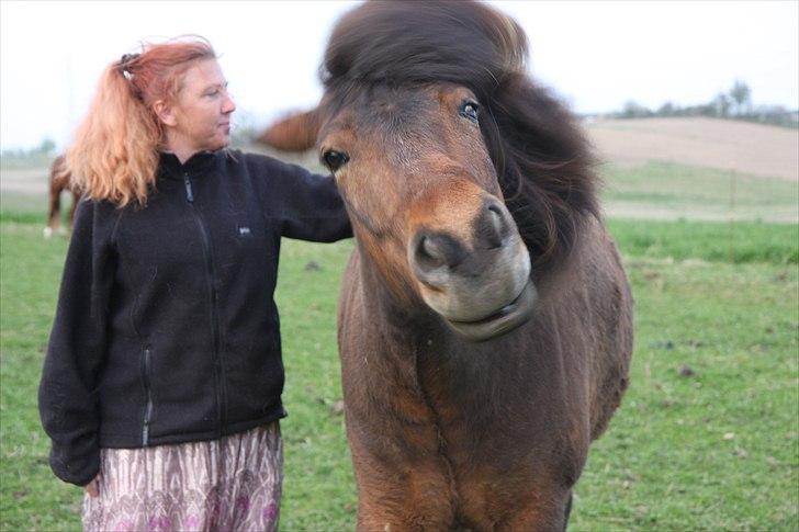 Islænder Flakkari lunakilde billede 4