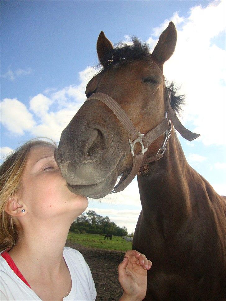 Welsh Pony (sec B) Låddenhøjs Misty - Dig og mig, Elsker dig min lille baby. dig skal der aldrig laves om på, du er fantastisk som du er, og på din helt egen måde! og elsker dig fordi du er noget helt specielt for mig! os to til dages ende<3 billede 15