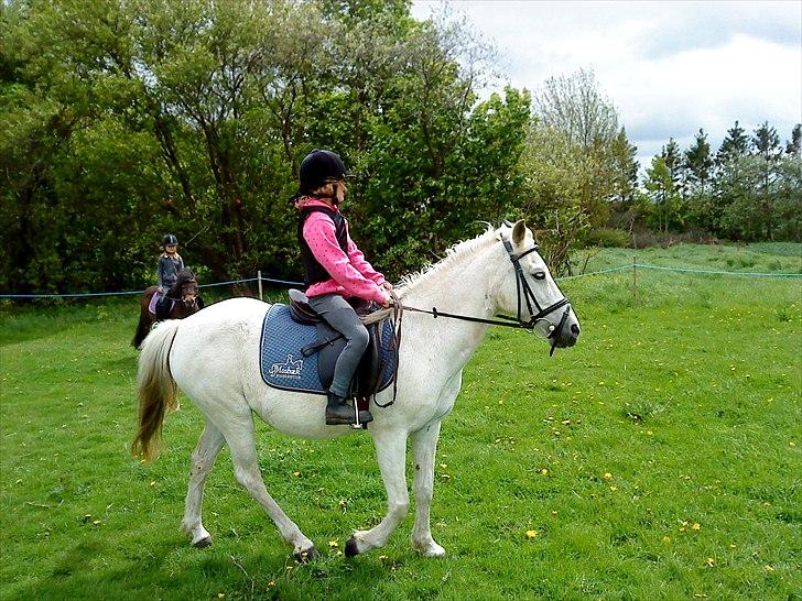 Anden særlig race princess - jaaaaaaa og jubiiiiiii ridetur billede 5