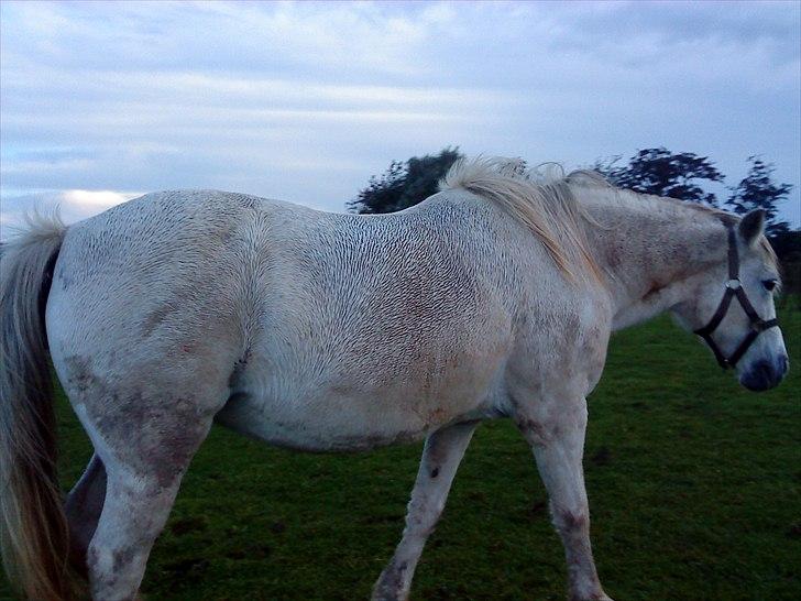 Anden særlig race princess - aaaaaaadr jeg er jo hel våd billede 9