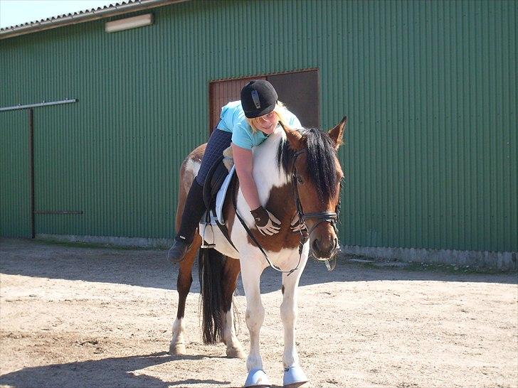 Pinto Herkules  - LOVE YOU billede 11