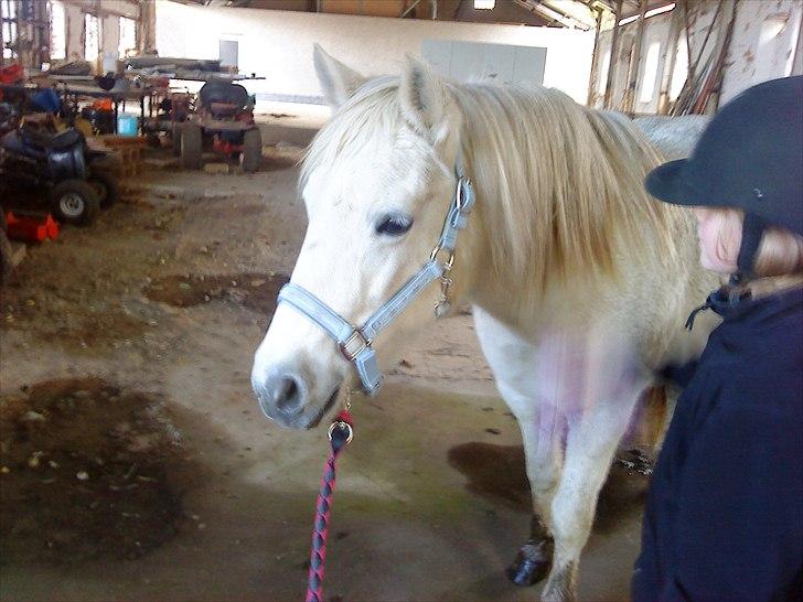 Anden særlig race princess - aar nej hvor dejligt billede 6