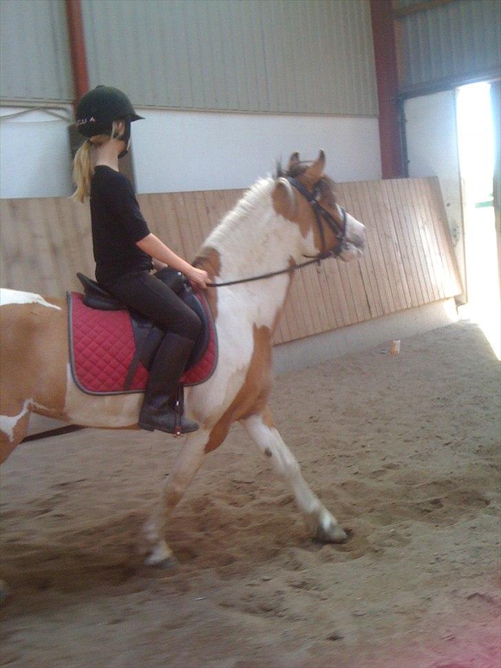 Anden særlig race Hedegårdens Savannah<3my soulmate<3I miss you babe - jaa, der er flotte fyre der ude.. var vannah? ;)  billede 3