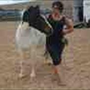 Anden særlig race Blanquita