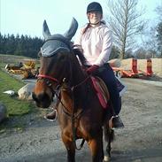 Traver No Money No Honey