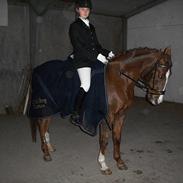 DSP Møgelholts Cartier *R.I.P* Savnet <3