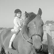 Koldblodstraver Backa Tessa <3 *Soulmate
