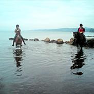 Anden særlig race R.I.P Rousseau