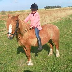 Anden særlig race Columbine (Givet væk)